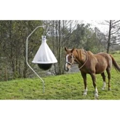 DAZENVAL TAONX, COMPLEET